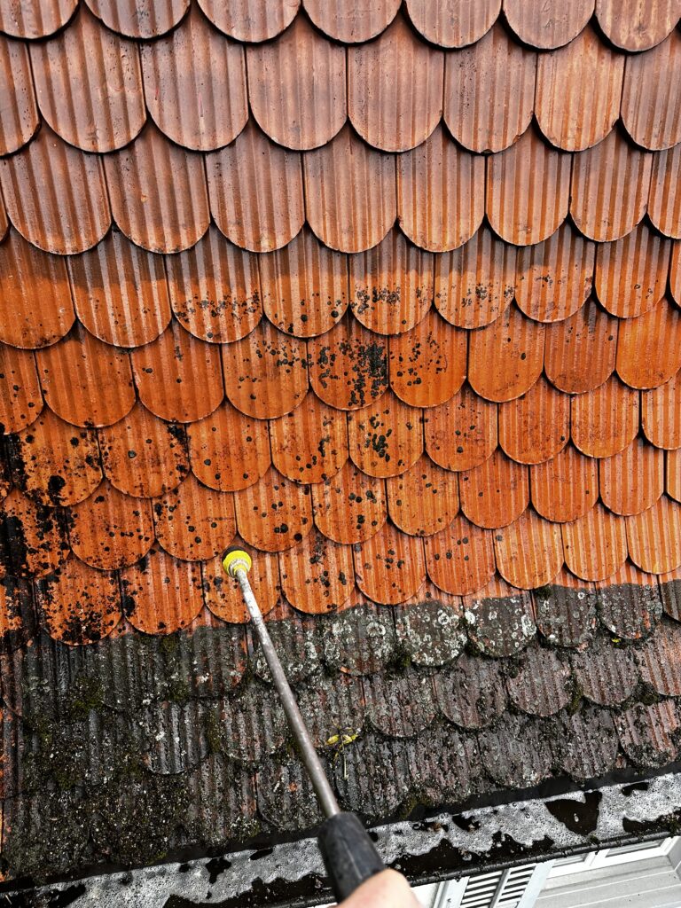 Vorher Nachher Dachreinigung